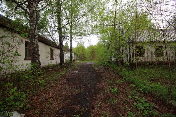 Het Grondgebied Van Een Verlaten Recreatiecentrum — Stockfoto