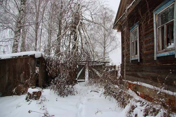 Casa Madera Invierno Nieve —  Fotos de Stock