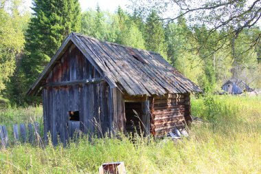 Ormanda terk edilmiş ahşap bir ev.