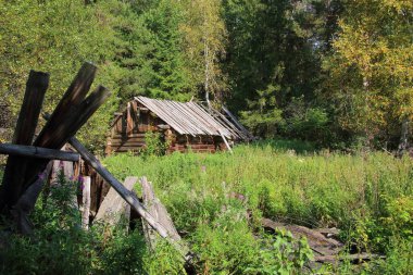 Ormanda terk edilmiş ahşap bir ev.