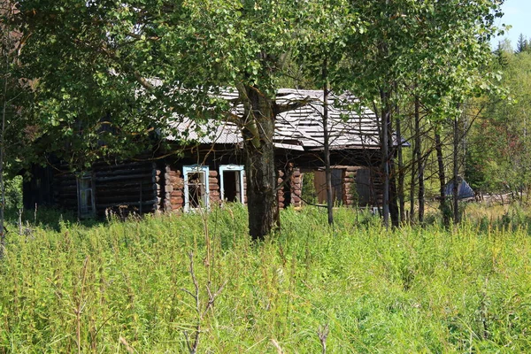 Casa Legno Abbandonata Nella Foresta — Foto Stock