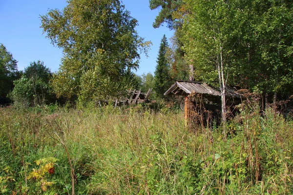 Casa Madera Abandonada Bosque — Foto de Stock