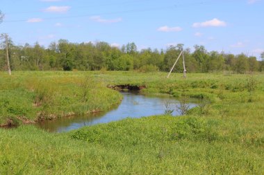 Yazın ormanın yanında bir nehir.