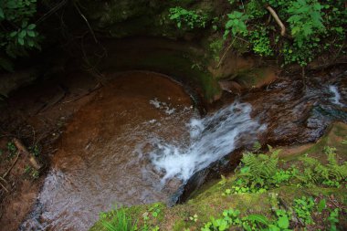 Ormanda güzel bir şelale