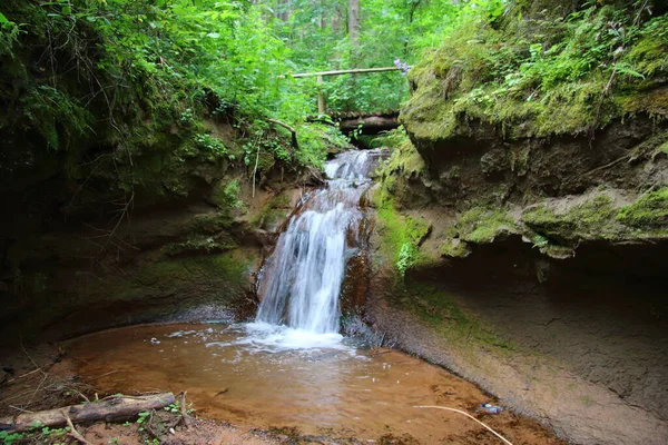 Vackert Vattenfall Skogen — Stockfoto