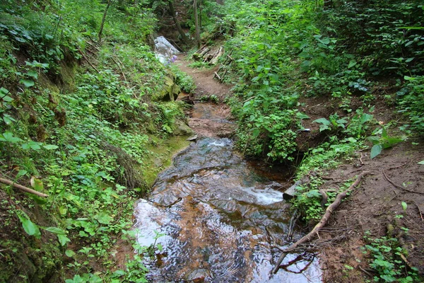 Rio Que Flui Floresta — Fotografia de Stock