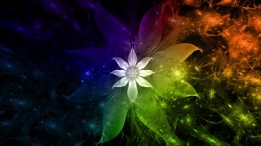 Gökkuşağı rengi soyut fraktal arkaplan ve birbirine bağlı karmaşık psikedelik uzay çiçekleri parlak renklerde