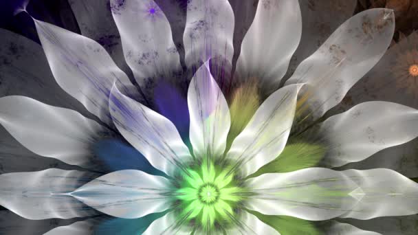 迷幻的迷幻色彩改变抽象的分形背景与复杂变化的波浪形空间花朵在鲜亮的色彩 — 图库视频影像