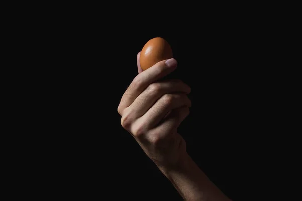 手把鸡蛋放在黑色的背景上 男性手中的褐色蛋 — 图库照片