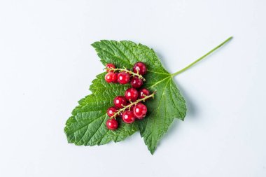 Beyaz arka planda kırmızı frenk üzümü. Bir avuç kırmızı kuş üzümü yeşil bir yaprağın üzerinde yatıyor.