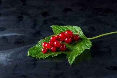 Siyah arka planda kırmızı frenk üzümü. Bir avuç kırmızı kuş üzümü yeşil bir yaprağın üzerinde yatıyor.