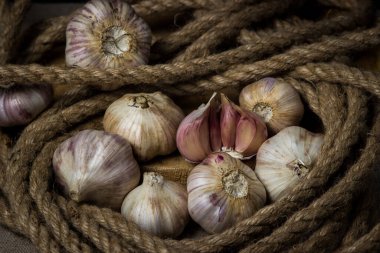 Sarımsak, çuvala sarılmış bir halatın içinde yatıyor. Sarımsağın içinde yarım sarımsak. Tarım kavramı