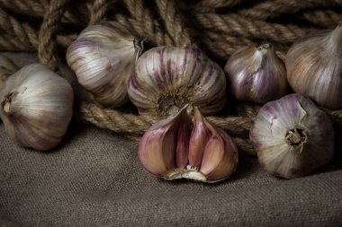 Sarımsak, çuvala sarılmış bir halatın içinde yatıyor. Sarımsağın içinde yarım sarımsak. Tarım kavramı