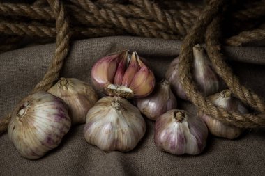 Sarımsak, çuvala sarılmış bir halatın içinde yatıyor. Sarımsağın içinde yarım sarımsak. Tarım kavramı