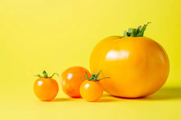 Tomates Amarelos Fundo Amarelo Tomates Suculentos Maduros Variedade Tomate — Fotografia de Stock