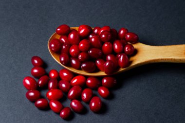 Siyah arka planda bir Dogwood. Olgunlaşmış kırmızı köpek odunlarıyla dolu tahta bir kaşık. Yakınlarda çok fazla köpek ormanı yok. Yaz hasadı toplanıyor..