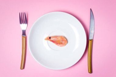 Beyaz tabakta karides. Pembe arka planda bir tabakta haşlanmış karides. Büyük bir tabakta bir karides