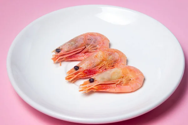 접시에 새우가 있어요 분홍색 배경에 접시에 마리의 새우가 — 스톡 사진