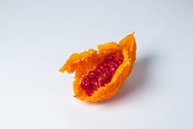 Beyaz arka planda Momordica. Egzotik bir sebze. Açılan momordika, kırmızı tohumların içinde