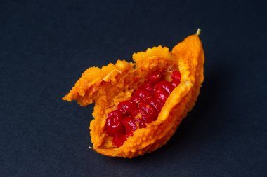 Siyah arka planda Momordica. Egzotik bir sebze. Açılan momordika, kırmızı tohumların içinde