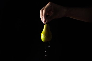 Su, siyah bir zeminde armuttan aşağı akar. El bir armut tutuyor. Islak armut.