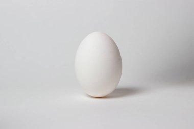 Beyaz arka planda yumurta. Beyaz tavuk yumurtası