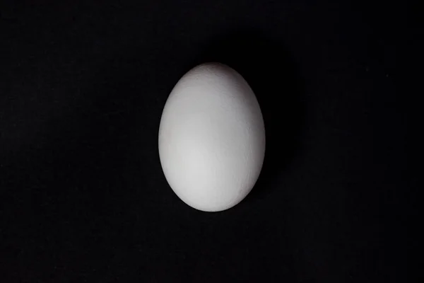 Œuf Sur Fond Noir Œuf Poulet Blanc — Photo