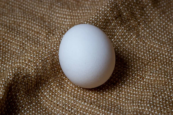 Біле Куряче Яйце Біле Яйце Лежить Міхурі — стокове фото