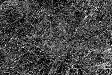 Soyut arkaplan. Monokrom dokusu. Siyah ve beyaz desenli arkaplan. 