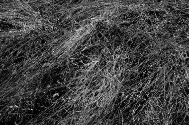 Soyut arkaplan. Monokrom dokusu. Siyah ve beyaz desenli arkaplan. 