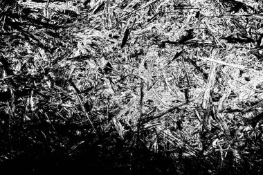 Soyut arkaplan. Monokrom dokusu. Siyah ve beyaz desenli arkaplan. 