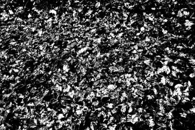 Soyut arkaplan. Monokrom dokusu. Siyah ve beyaz desenli arkaplan. 