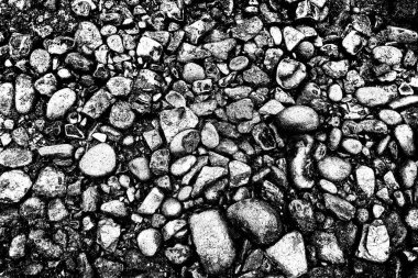 Doğada kayalık yol