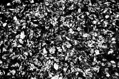 Soyut arkaplan. Monokrom dokusu. Siyah ve beyaz desenli arkaplan. 