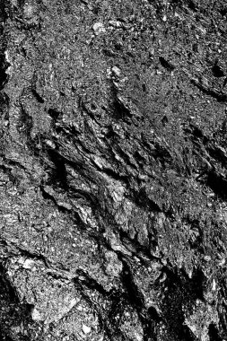 Nehrin kenarındaki uçurum. Transcarpathia