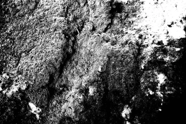 Sawdust Snow Background — Stock Photo, Image