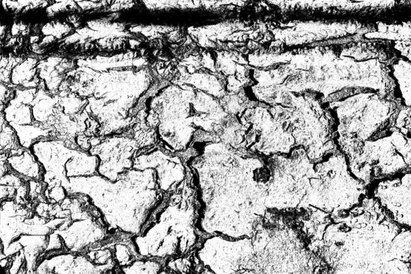 Skurcze Pęknięcia Osuszające Suchej Ziemi Powodu Braku Wody Glebie Koncepcja — Zdjęcie stockowe
