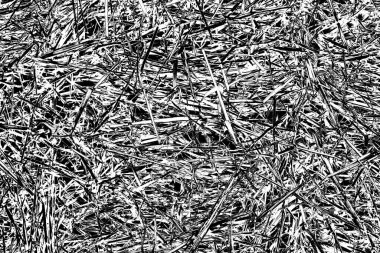 Soyut arkaplan. Monokrom dokusu. Siyah ve beyaz desenli arkaplan. 