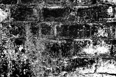 Soyut arkaplan. Monokrom dokusu. Siyah ve beyaz desenli arkaplan. 