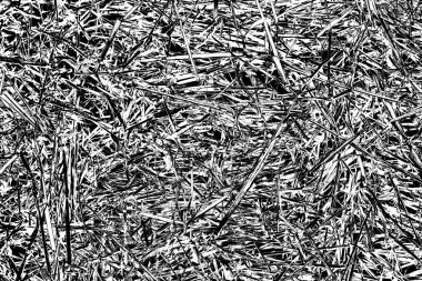 Soyut arkaplan. Monokrom dokusu. Siyah ve beyaz desenli arkaplan. 