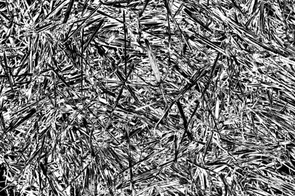 Soyut arkaplan. Monokrom dokusu. Siyah ve beyaz desenli arkaplan. 