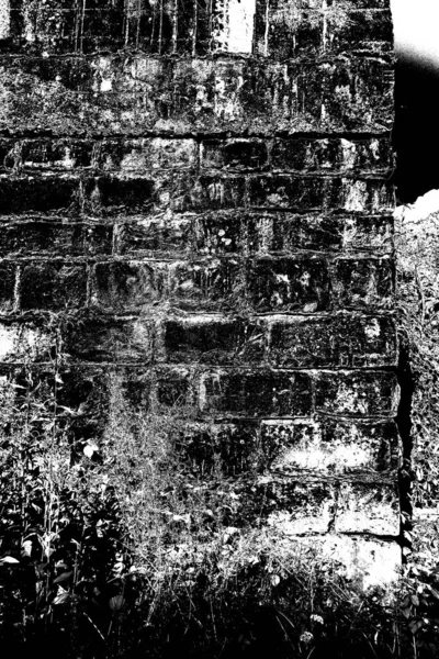 Soyut arkaplan. Monokrom dokusu. Siyah ve beyaz desenli arkaplan. 