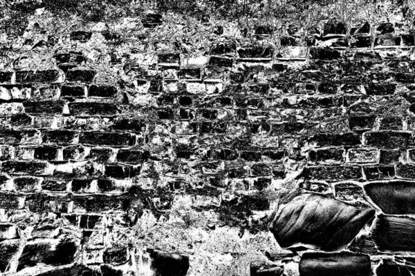 Soyut arkaplan. Monokrom dokusu. Siyah ve beyaz desenli arkaplan. 