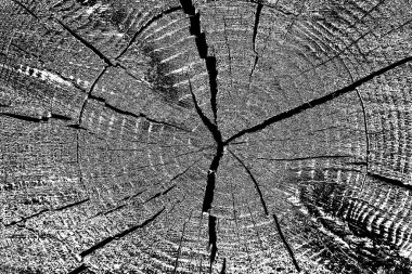 Soyut arkaplan. Monokrom dokusu. Siyah ve beyaz desenli arkaplan. 