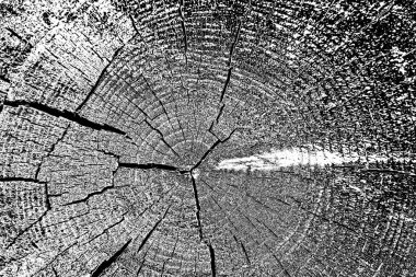 Soyut arkaplan. Monokrom dokusu. Siyah ve beyaz desenli arkaplan. 