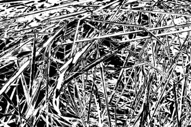 Soyut arkaplan. Monokrom dokusu. Siyah ve beyaz desenli arkaplan. 