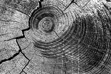 Soyut arkaplan. Monokrom dokusu. Siyah ve beyaz desenli arkaplan. 