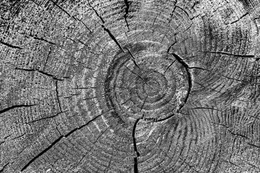 Soyut arkaplan. Monokrom dokusu. Siyah ve beyaz desenli arkaplan. 