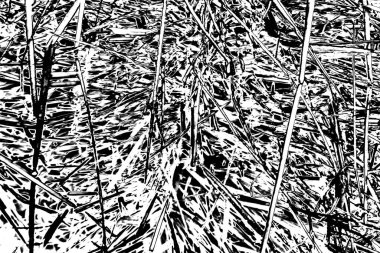 Soyut arkaplan. Monokrom dokusu. Siyah ve beyaz desenli arkaplan. 