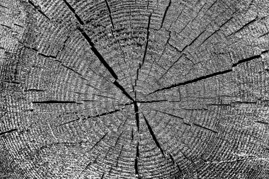 Soyut arkaplan. Monokrom dokusu. Siyah ve beyaz desenli arkaplan. 